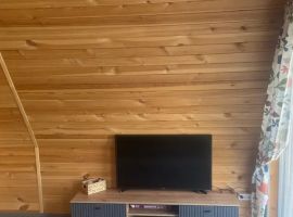 Дом в Алтайский край, Белокуриха ул. Дружная, 14 (40 м²) - . Белокуриха - фото 8