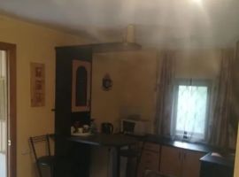 Дом в Псковская область, Псков Гремячая ул., 10 (28 м²) - . Псков - фото 11