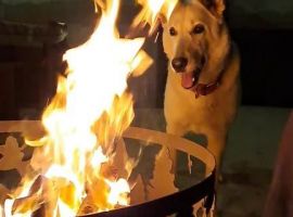 Дом в Ставропольский край, Кисловодск Подгорная ул., 67 (27 м²) - Подгорная. Кисловодск - фото 20