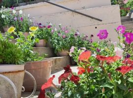 Дом в Ставропольский край, Кисловодск Подгорная ул., 67 (27 м²) - Подгорная. Кисловодск - фото 27