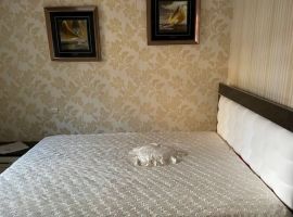 Дом в Ставропольский край, Кисловодск Новая ул., 9 (115 м²) - Каштановая. Кисловодск - фото 0