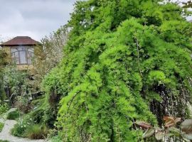 Дом в Ставропольский край, Кисловодск Короткая ул., 43В (44 м²) - Короткая (Рейд тер. СНТ). Кисловодск - фото 39
