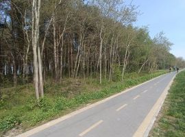 Дом в Калининградская область, Зеленоградск Прибой садоводческое товарищество, ул. Сиреневая (55 м²) - . Зеленоградск - фото 5