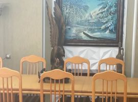 Дом в Ставропольский край, Ессентуки ул. Фридриха Энгельса, 22/3 (320 м²) - . Ессентуки - фото 17