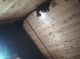 Дом в Ставропольский край, Михайловск Шпаковский район, ул. Орджоникидзе, 382/1 (45 м²) - . Михайловск - фото 10