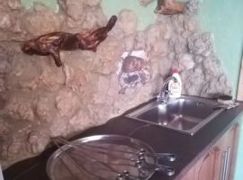 Дом в Ставропольский край, Михайловск Шпаковский район, ул. Орджоникидзе, 382/1 (45 м²) - . Михайловск - фото 4