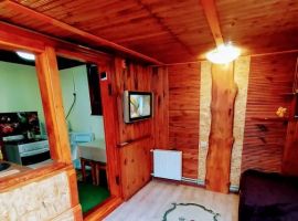 Дом в Ставропольский край, Кисловодск Школьная ул., 95 (21 м²) - школьная. Кисловодск - фото 9
