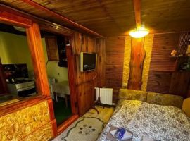 Дом в Ставропольский край, Кисловодск Школьная ул., 95 (21 м²) - школьная. Кисловодск - фото 6