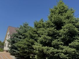 Дом в Волгоградская область, Волгоград ул. Дзержинского, 77А (390 м²) - Дзержинского. Волгоград - фото 17