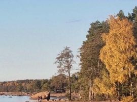 Дом в Ленинградская область, Приморск Лесная ул., 20 (50 м²) - Подлесная. Приморск - фото 5
