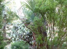 Дом в Краснодарский край, Сочи Сочинское ш., 2/4 (23 м²) - . Сочи - фото 7