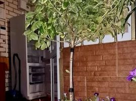 Дом в Краснодарский край, Анапа Заводская ул., 28 (120 м²) - Электрозаводская. Анапа - фото 4