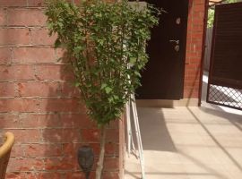 Дом в Краснодарский край, Анапа Алексеевка мкр, ул. Садовая, 5 (60 м²) - Малая Садовая. Анапа - фото 27