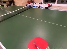 Дом в Кировская область, Слободской район, Бобинское с/пос, д. Малые Раскопины ул. Историческая, 28 (350 м²) - . Слободской район - фото 7