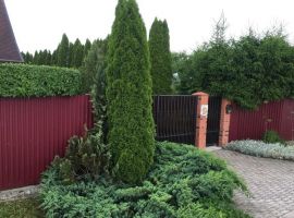 Дом в Калининградская область, Зеленоградск ул. Лазоревая, 4 (36 м²) - . Зеленоградск - фото 31