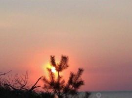 Дом в Калининградская область, Зеленоградск Волна садовое товарищество, ул. Грушевая (150 м²) - . Зеленоградск - фото 40