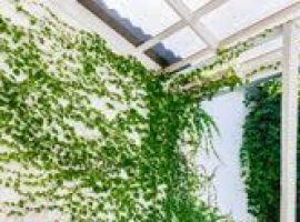 Дом в Ставропольский край, Ессентуки ул. Анджиевского, 27 (80 м²) - . Ессентуки - фото 0