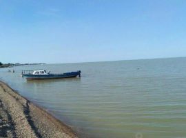 Дом в Краснодарский край, Ейск Краснофлотская ул., 105 (18 м²) - Краснофлотская. Ейск - фото 14