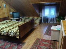 Дом в Челябинская область, Челябинск пос. Смолино, Западная ул. (350 м²) - Западная. Челябинск - фото 15