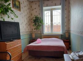 Дом в Челябинская область, Челябинск пос. Смолино, Западная ул. (350 м²) - Западная. Челябинск - фото 7
