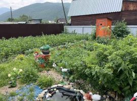 Дом в Иркутская область, Слюдянка Ветеран СНТ,  (25 м²) - . Слюдянка - фото 12