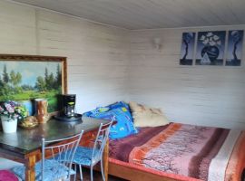 Дом в Иркутская область, Слюдянка Ветеран СНТ,  (25 м²) - . Слюдянка - фото 8