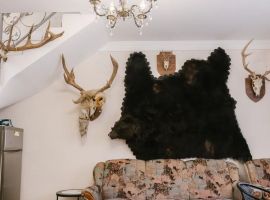 Дом в Калининградская область, Янтарный пгт пер. Малый, 5 (45 м²) - . Янтарный пгт - фото 5