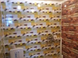 Дом в Орловская область, Мценск ул. Тургенева, 160 (65 м²) - Тургенева. Мценск - фото 8
