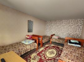 Дом в Оренбургская область, Соль-Илецк Советская ул., 57 (75 м²) - Новосоветская. Соль-Илецк - фото 20