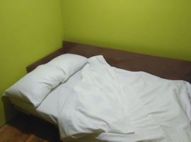Дом в Ставропольский край, Кисловодск просп. Победы, 72 (36 м²) - Победы. Кисловодск - фото 11