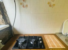 Дом в Ставропольский край, Кисловодск ул. Гастелло, 40 (35 м²) - Гастелло. Кисловодск - фото 8