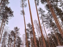 Дом в Свердловская область, Екатеринбург Надежда СНТ, 66 (40 м²) - . Екатеринбург - фото 3