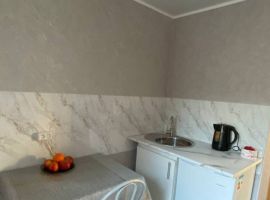 Дом в Алтайский край, Яровое Кулундинская ул., 36 (20 м²) - Кулундинская. Яровое - фото 9