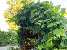 Дом в Алтайский край, Яровое Кулундинская ул., 36 (20 м²) - Кулундинская. Яровое - фото 4