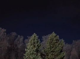 Дом в Алтайский край, Первомайский район, Лосиха рзд Лесная ул., 2Б (160 м²) - Подлесная. Первомайский район - фото 0