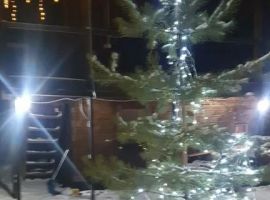 Дом в Алтайский край, Первомайский район, Лосиха рзд Лесная ул., 2Б (160 м²) - Подлесная. Первомайский район - фото 12