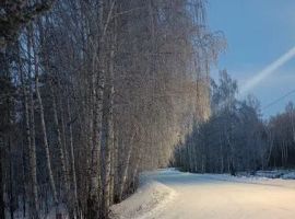 Дом в Алтайский край, Первомайский район, Лосиха рзд Лесная ул., 2Б (160 м²) - Подлесная. Первомайский район - фото 14