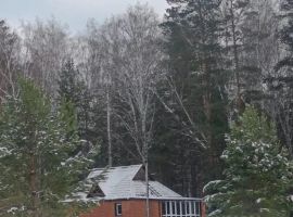 Дом в Алтайский край, Первомайский район, Лосиха рзд Лесная ул., 2Б (160 м²) - Подлесная. Первомайский район - фото 1