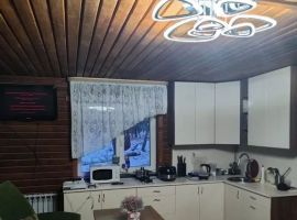 Дом в Алтайский край, Первомайский район, Лосиха рзд Лесная ул., 2Б (160 м²) - Подлесная. Первомайский район - фото 4