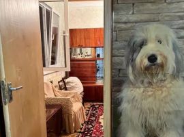 Дом в Ставропольский край, Ессентуки Пятигорская ул., 27 (52 м²) - Пятигорская. Ессентуки - фото 3