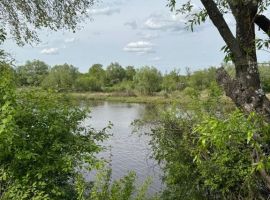 Дом в Рязанская область, Рязань Солотча р-н, 8к13 (170 м²) - . Рязань - фото 22