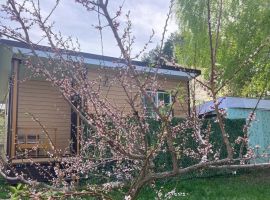 Дом в Пензенская область, Пенза ул. Кольцова, 2В (27 м²) - . Пенза - фото 1