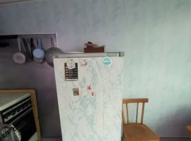 Дом в Оренбургская область, Соль-Илецк ул. Ленина, 11 (40 м²) - Ленина. Соль-Илецк - фото 11