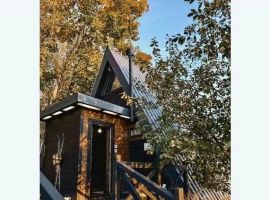 Дом в Челябинская область, Аша Новосибирская ул., 87 (50 м²) - . Аша - фото 1