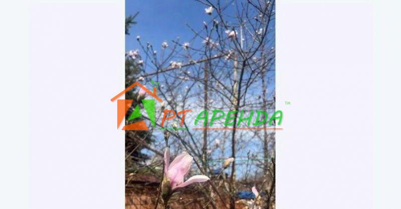 Ессентуки. Дом в Ставропольский край, Ессентуки Железноводская ул., 88 (320 м²), Железноводская, д. 88 - фото 48