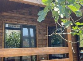 Дом в Краснодарский край, Геленджик ул. Набережная, 30 (30 м²) - Набережная (Орлов Овраг тер.). Геленджик - фото 6