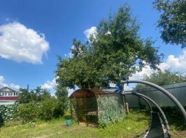 Дом в Тамбовская область, Тамбов Медик СНТ, 119 (20 м²) - . Тамбов - фото 6