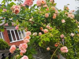 Дом в Калининградская область, Гурьевск пер. Гурьева, 21 (180 м²) - . Гурьевск - фото 41