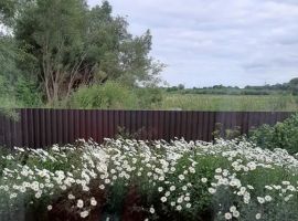 Дом в Калининградская область, Калининград Ямская ул., 63 (60 м²) - Ямская. Калининград - фото 35