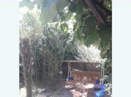 Дом в Краснодарский край, Сочи Магистральная ул., 70 (100 м²) - Магистральная (Сорокин Хутор тер). Сочи - фото 4